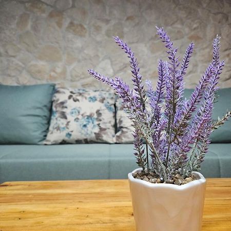 Dalmatia Rustica Comfortable One Bedroom+Fireplace Zadar Exterior photo